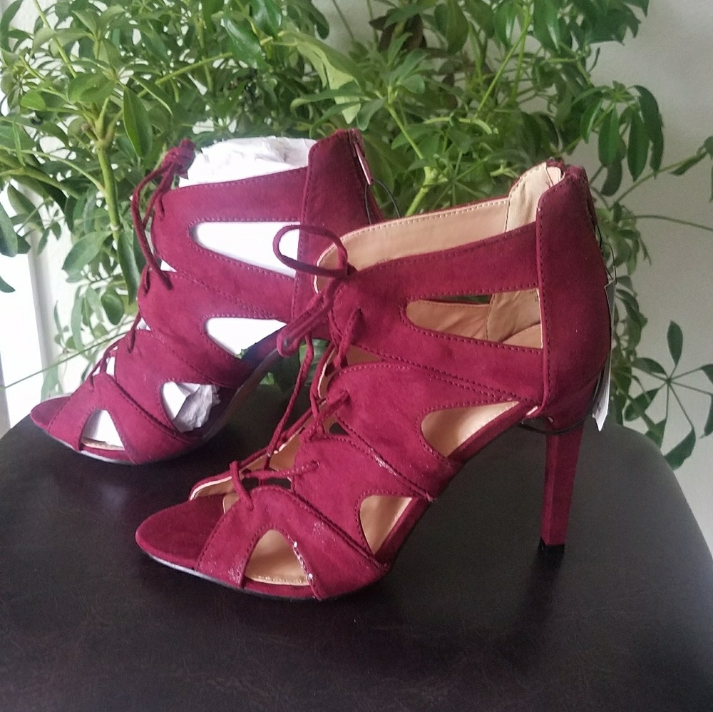 Sassy cranberry stilettos